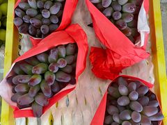 -马陆小张葡萄园农家乐