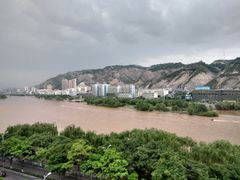 -清真老马家国华牛奶鸡蛋醪糟(正宁路店)