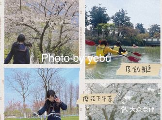 阳澄湖畔·仿佛穿越动森樱花季 私藏春日去处