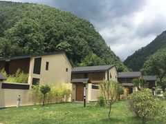 -牛背梁国家森林公园