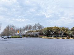 -碧云国际社区·晓园