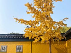 -西园戒幢律寺