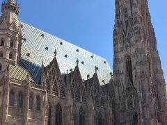 -斯蒂芬主教座堂(Stephansdom)