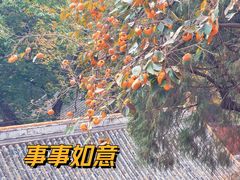 -潭柘寺景区
