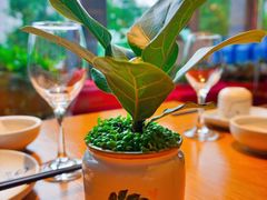 -丹江渔村(望京店)