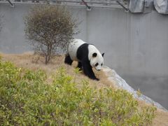 -柳州市动物园
