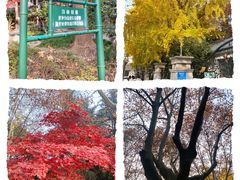 -华山儿童公园