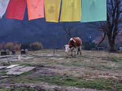 -硗碛藏寨·神木垒景区