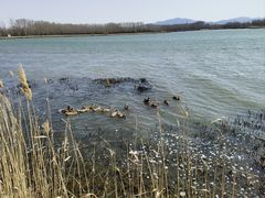 -野鸭湖国家湿地公园