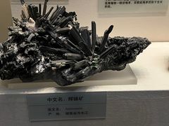 -天津自然博物馆