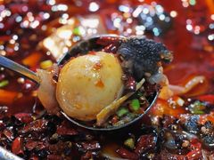 -黑竹香鸡(营和巷店)