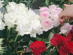 -FEI FEI FLOWER鲜花店·气球派对·宝宝宴布置(虹口德必运动Loft店)