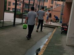 -七宝中学游泳馆