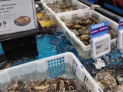 -盒马鲜生(曜一城店)