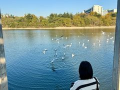 -HALO SOUL COFFEE·咖啡·甜品·简餐(嘉年华海信广场店)