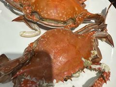 -天天鱼港·海鲜·鲅鱼水饺·招牌烤鸭(黄骅店)