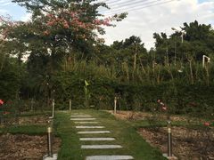 -陶缘一号·四季缘·老字号顺德菜·户外婚礼家宴(西滘店)