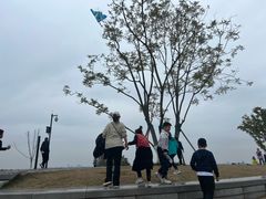 -龙泉洞(沙坪坝区)