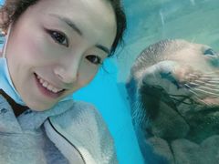 -泉城欧乐堡海洋极地世界