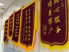 -中农国际动物医院24小时·猫科·骨科·急重症中心