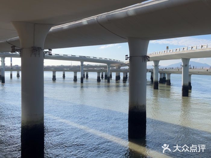 演武大桥观景平台图片