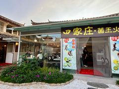 -蘑统田下·野生菌火锅