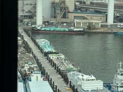 -台场海滨公园船码头