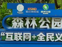 -昆山城市生态森林公园