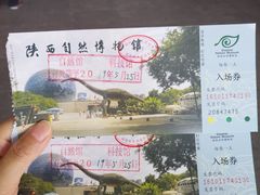 -陕西自然博物馆