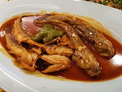 -渔娘渔家丹东海鲜(东直门店)