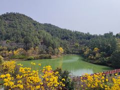 -广州白江湖森林公园