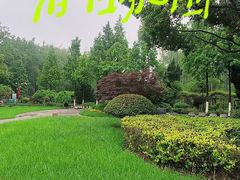 -合肥滨湖国家森林公园