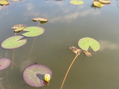 -宁波市保国寺古建筑博物馆