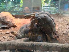 -上海大自然野生昆虫馆(东方明珠·爬宠昆虫探索中心)