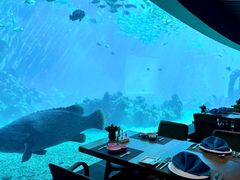 -海棠湾洲际-涛·海底餐厅·美人鱼·自助餐·海底隧道