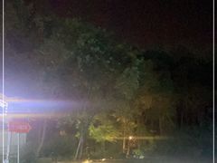 -宝莱纳啤酒花园餐厅PAULANER BRAUHAUS Nanjing(广州路店)