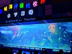 -泉城欧乐堡海洋极地世界