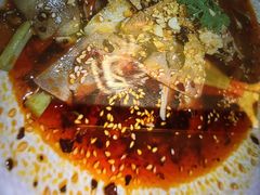 -院8里·小聚园老川菜(九眼桥店)