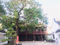 -上海醉白池公园