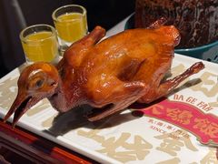 -大鸽饭(动物园店)