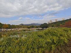 -牛岗山公园