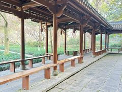 -杭州植物园