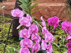 -国家植物园南园