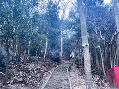 -上海佘山国家森林公园天马山园