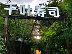 -千叶寿司创意融合料理(水韵城店)