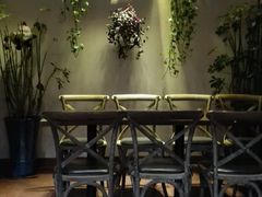 -百好乐宠物友好餐厅(朝外大街店)