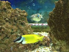 iphone_upload_pic-天目湖山水园