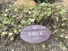 -南山植物园