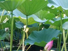 -奥林匹克森林公园南门-停车场