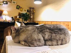 -隅cafe(傅厚岗店)